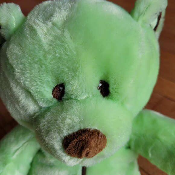 Baby Ganz Bear Plush with Rattle Chocolate Chip Mint Green Brown - Picture 3 of 9